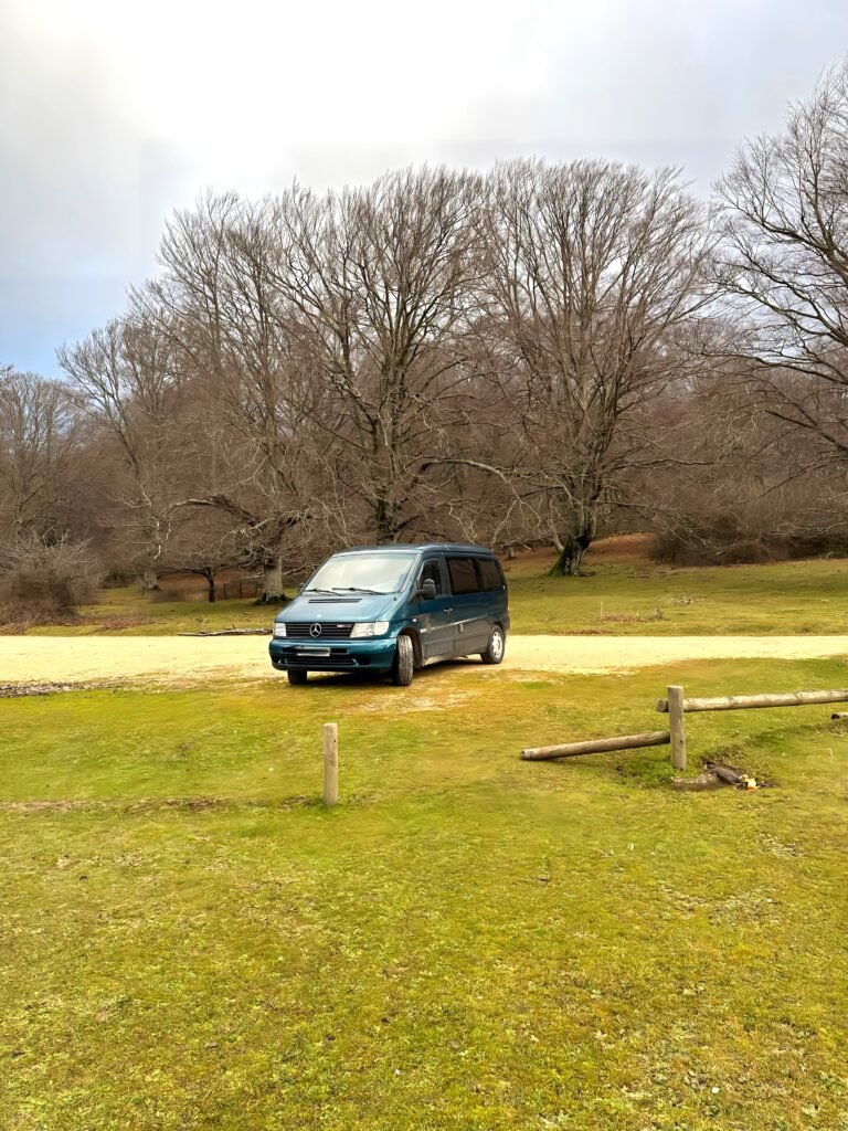 La Mertxe Brunbrun en Entzia