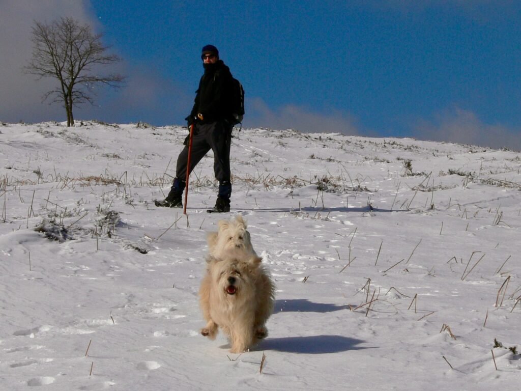 Disfrutando de la nieve en Oketa (Parque Natural de Gorbeia)