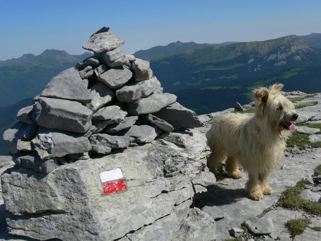 La cima del Ezkaurre (Belagua, Valle de Roncal)-open your mind traveling