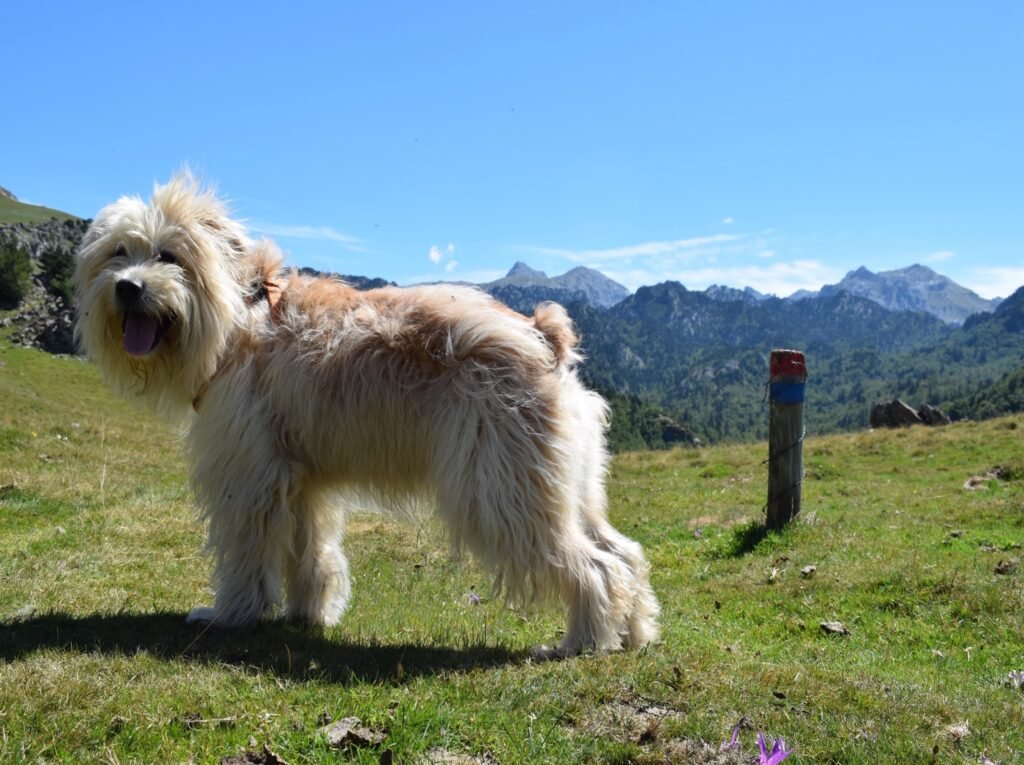 Otsagi encantado por Zemeto Bidea, en el Valle de Belagua-open your mind traveling