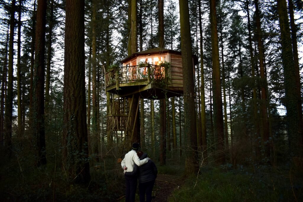 Si vienes a Motxotegi, puedes tienes que dormir en una cabaña en un árbol