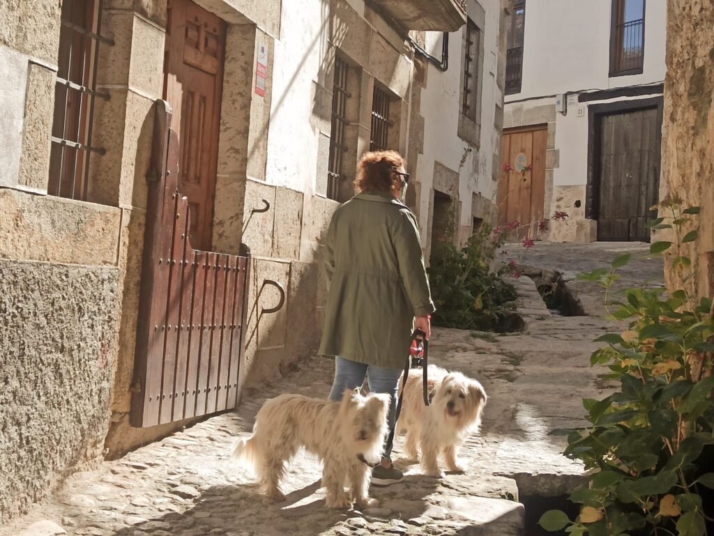 ¿Mi seguro de viaje cubre a mis mascotas?
