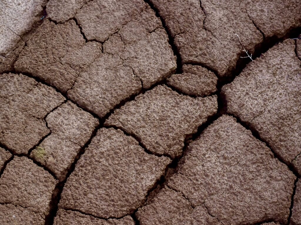 Las texturas de la tierra de Las Bardenas Reales.