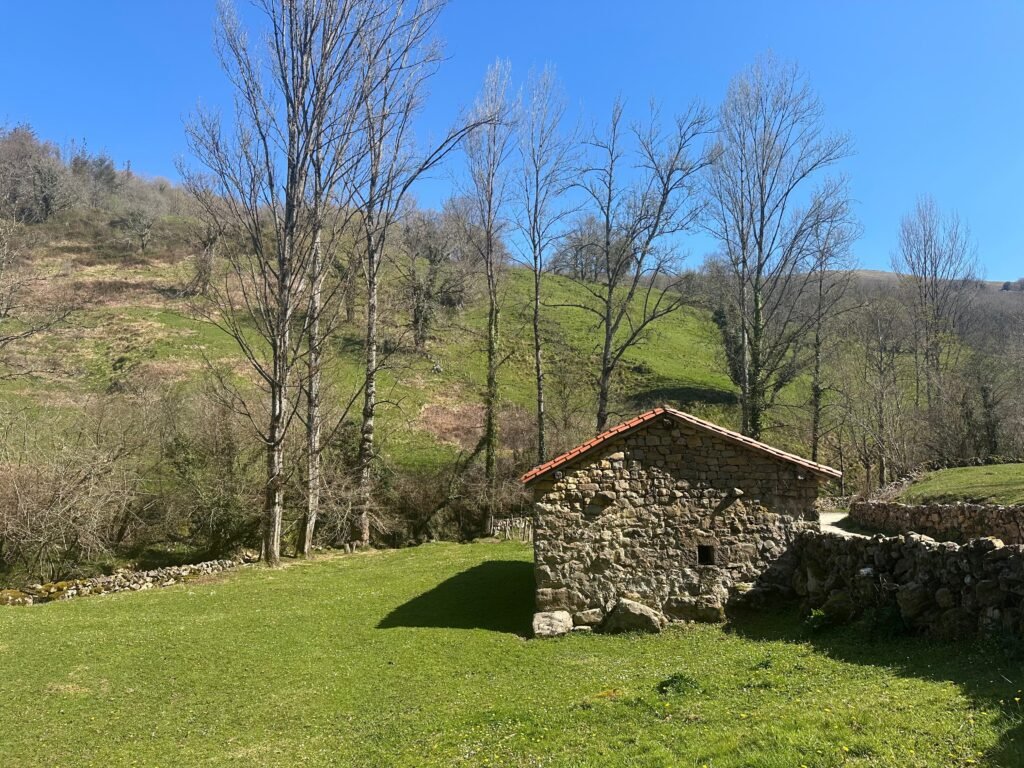 En el parque natural de Saja-Besaya el verde es verde de verdad