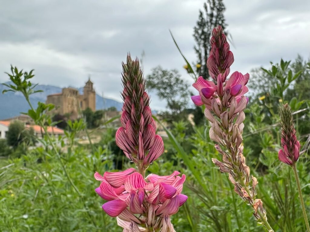 Descubre los pueblos más bonitos de Rioja Alavesa