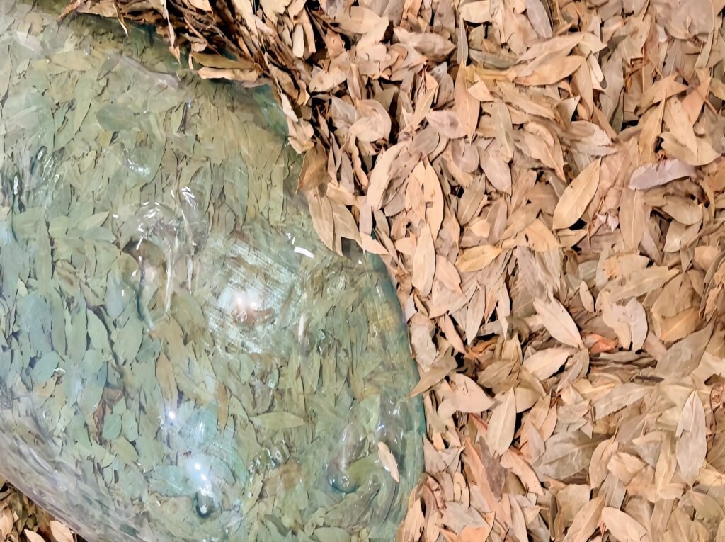 Lurraren arteak, artes del tierra- guggenehim bilbao