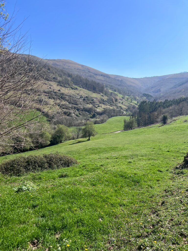 El verde TAN VERDE de Cantabria