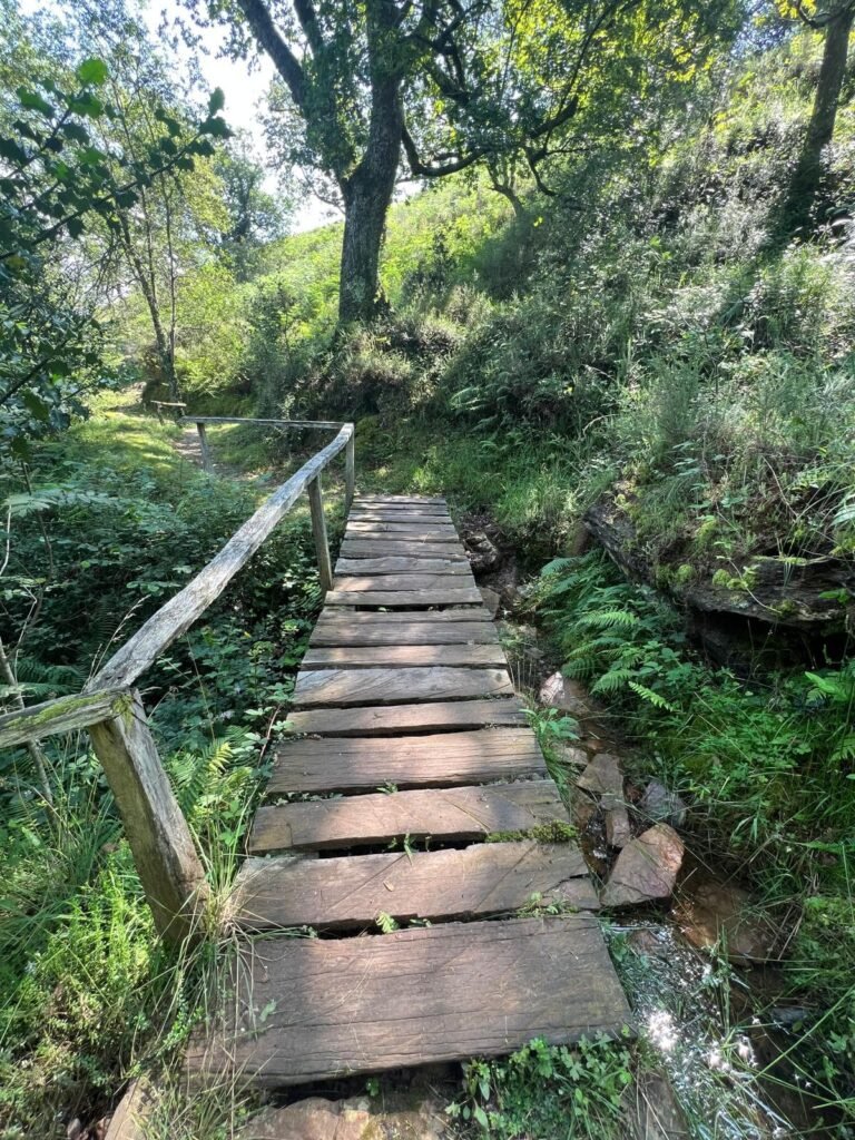 Uno de los puentes de la ruta desde Ucieda