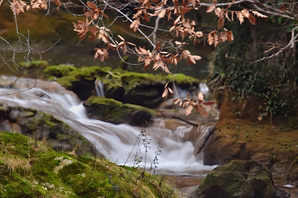 Reserva Natural del Nacedero del Urederra (Urbasa-Andia)