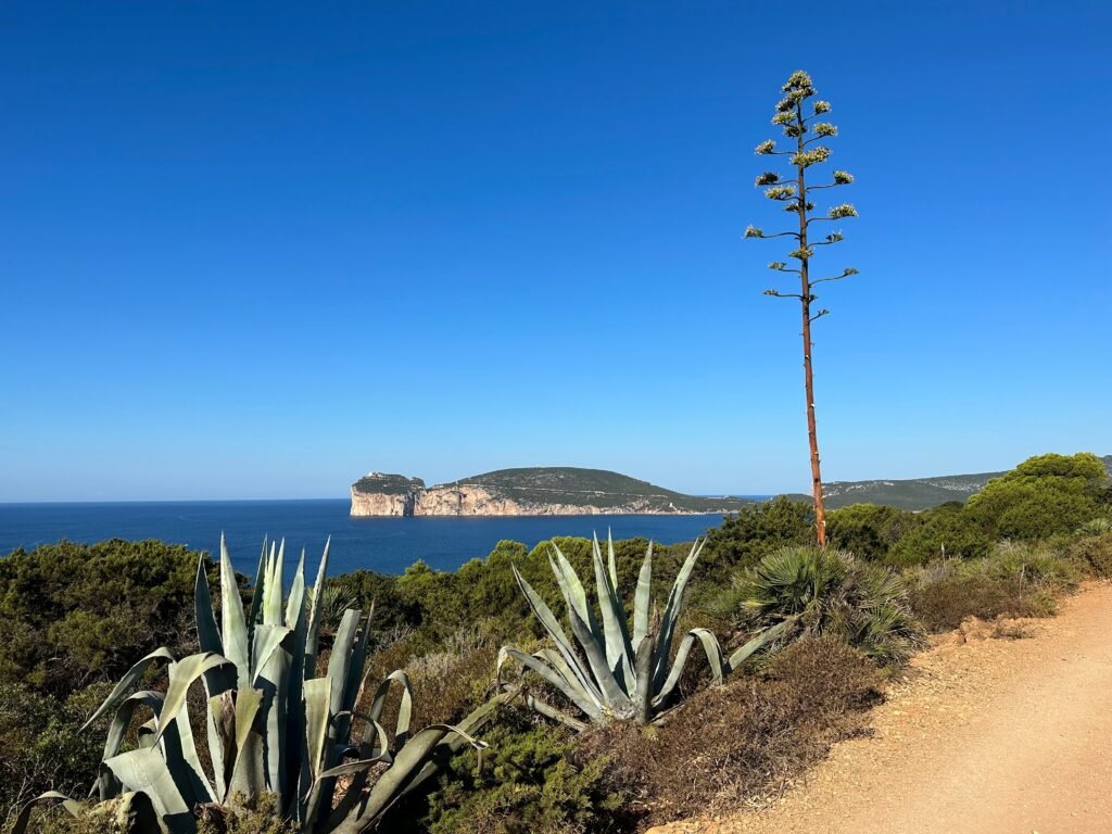 Ruta de senderismo en Punta Giglio, Parque Natural Regional de Porto Conte