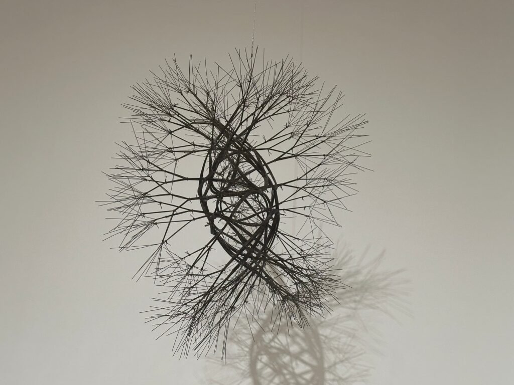 Sin título, Ruth Asawa (Guggenheim Bilbao Museoa) 