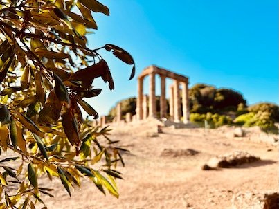 El templo di Antas rodeado de encinas