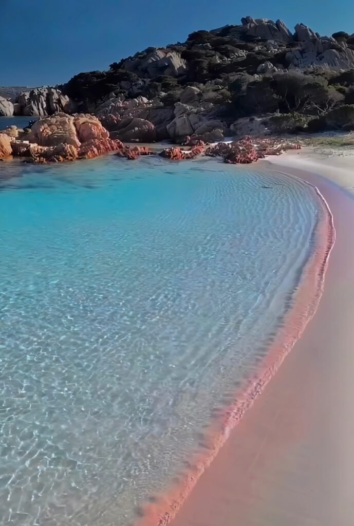 La Playa Rosa de Cerdeña