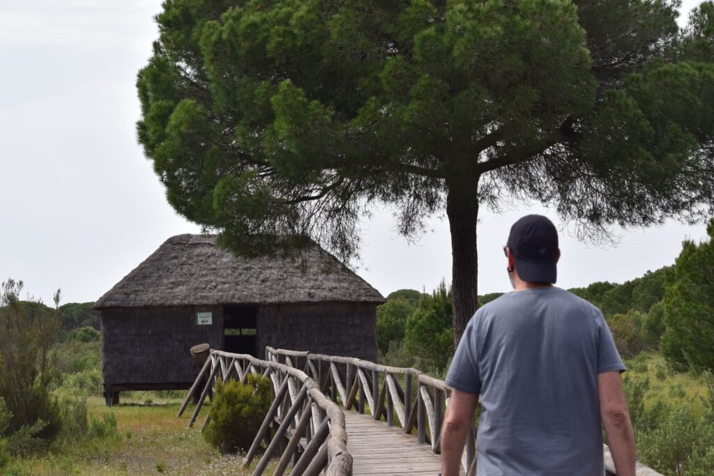 Observatorios de aves en el Parque Nacional de Doñana
