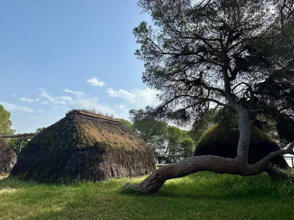El Poblado de la Plancha en Doñana