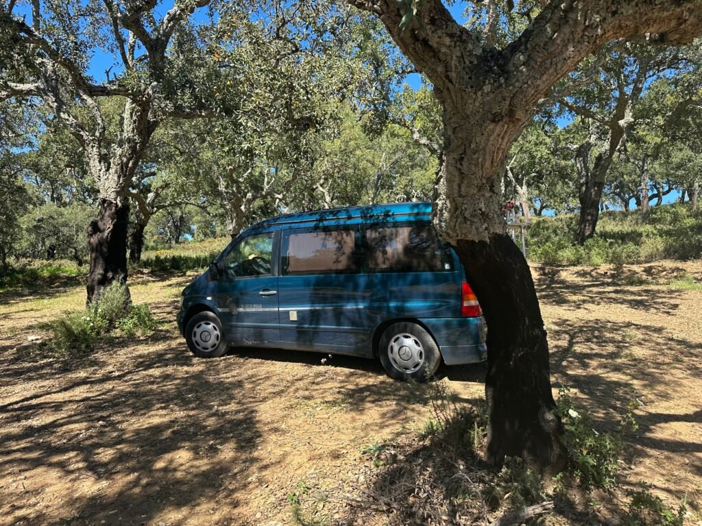 Viajar en camper a las Sierra de Aracena y Picos de Aroche debería estar dando vueltas ya en tu cabeza